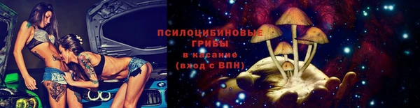 стаф Балахна