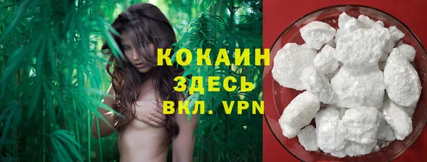 стаф Балахна