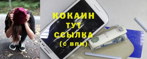 стаф Балахна