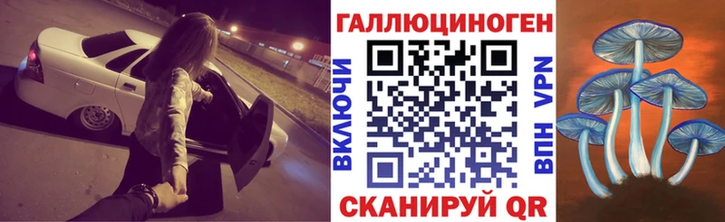 как найти закладки  Нерехта  hydra сайт  Галлюциногенные грибы GOLDEN TEACHER 