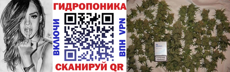 даркнет сайт  Нерехта  Каннабис индика 